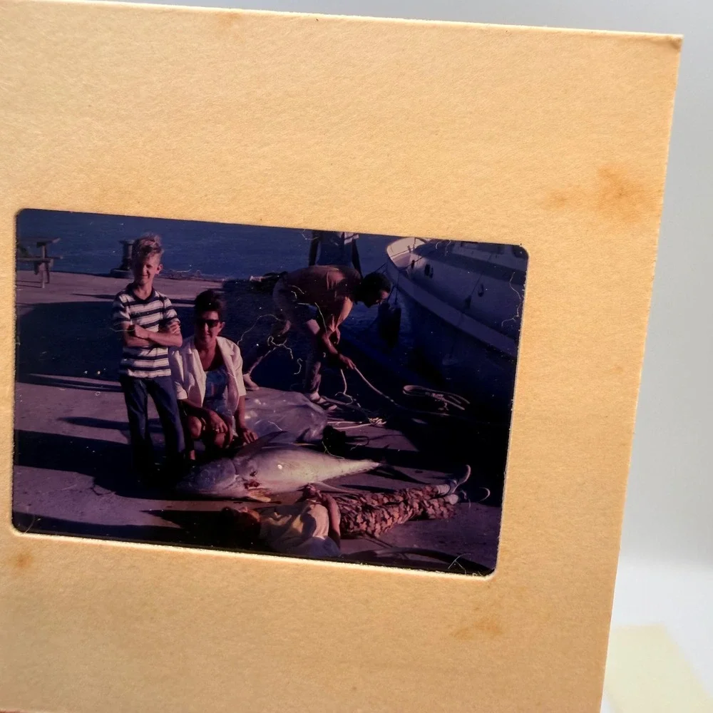 Manon vintage slide